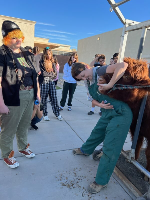 CTE CUSD tweet media