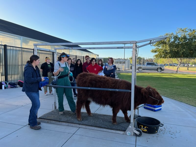 CTE CUSD tweet media