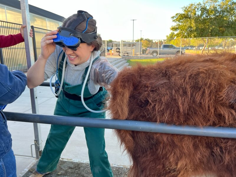 Dr. Cubbage with Herd Health Managment presented to Chandler High FFA students. She performed a pregnancy check on Reba, and students were able to see the baby calf on a monitor and in the goggles. Students were also taught how to administer shots and restrain animals.