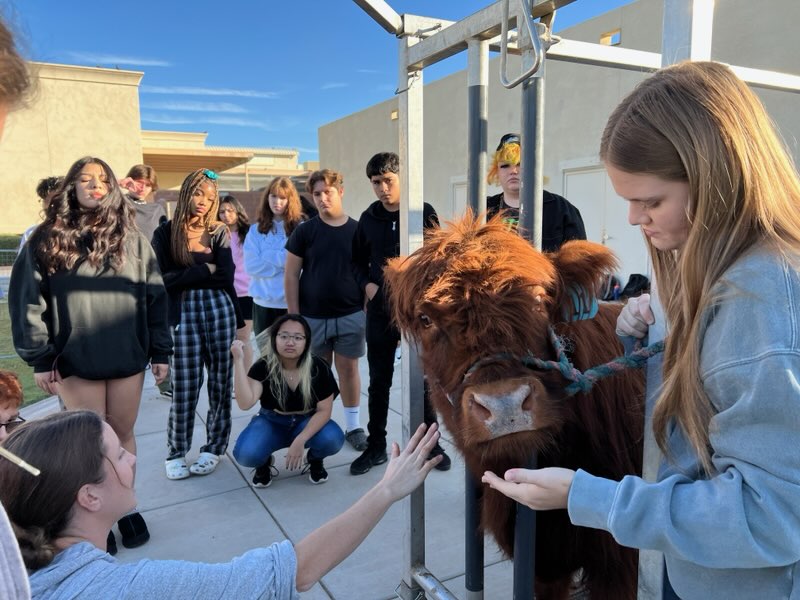 CTE CUSD tweet media