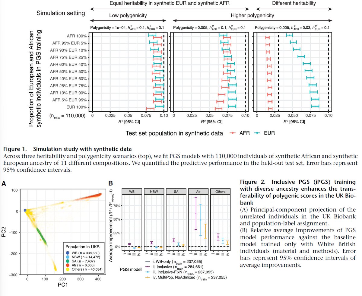 manoliskellis's tweet photo. Excited to share our Inclusive Polygenic Score (iPGS) work and iPGS+refit, out at #AJHG today by @yk_tani.
We improve #polygenic prediction of #DiseaseRisk and other traits across individuals from #diverse populations/ancestries, that have been traditionally excluded from #genetic studies, using individual-level data for individuals across the #continuum of genetic ancestry. 
Improvements of 60% on average for African-ancestry and 18% for admixed-background individuals, and discovery of population-specific genetic effects. 
Paper: https://t.co/a0DvevIoZQ
MIT news: https://t.co/ZTEYDfDDbX
Tweetorial: https://t.co/6DI6vZazbX
AJHG tweet: https://t.co/6DsQWCQD52
CSAIL tweet: https://t.co/0O14Zbh80l
Browser: https://t.co/3ovXKnRAkd
