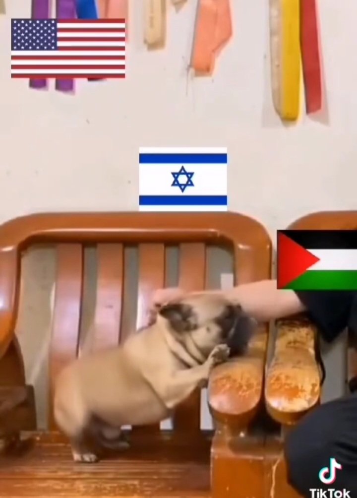 zarifabasi's tweet photo. @POTUS 
@SecBlinken 
@SecDef 
@VP 
@netanyahu 
@israelipm_farsi https://t.co/zwzTXJIDiU