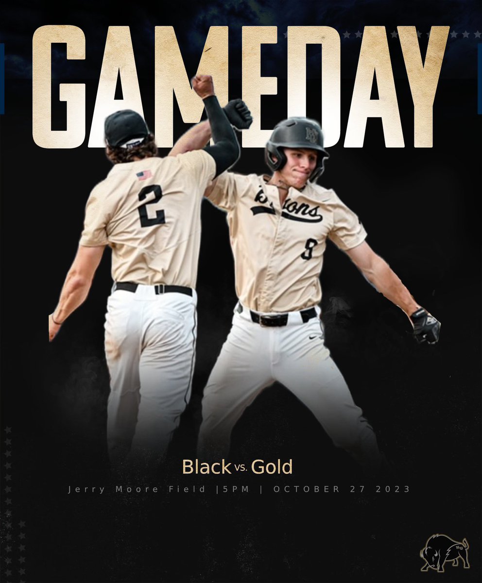 Harding Baseball tweet media