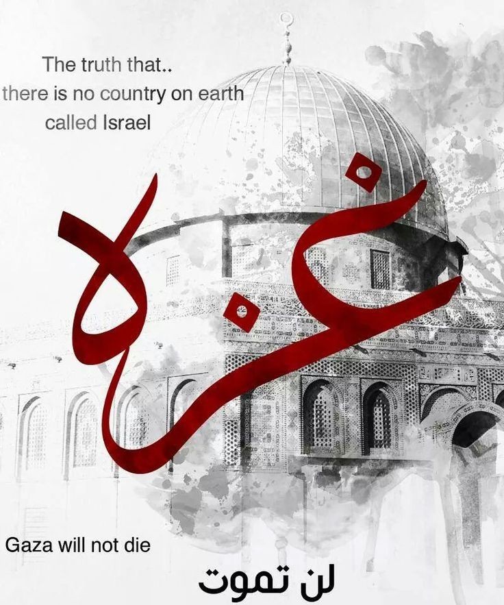 SaedSa18's tweet photo. اللهم أنصرهم أهل غزة على أعدائهم يارب 😔💔
#starlinkforgaza https://t.co/0xVFO2KNnU