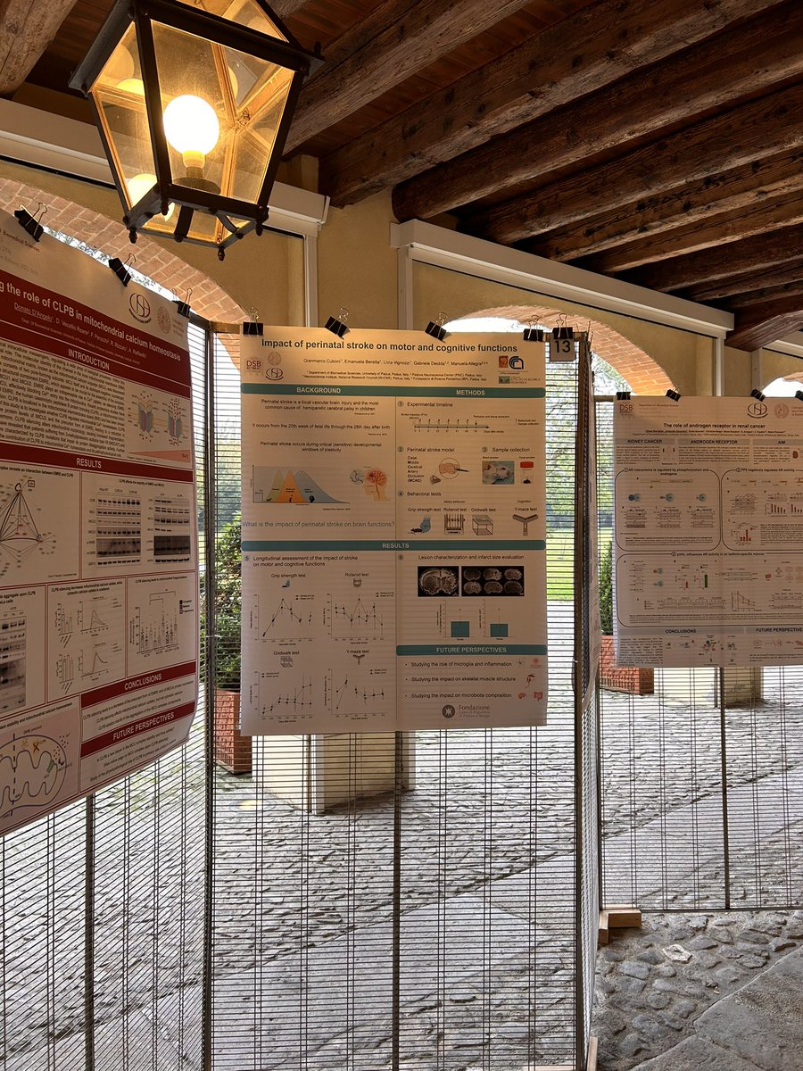 Happy to have participated in the annual retreat of the Department of Biomedical Sciences, a wonderful opportunity to learn about the various scientific projects of our colleagues! 🔬👩‍🔬🧬

<a href="/dsb_unipd/">@dsb_unipd</a> <a href="/unipd/">Università di Padova</a> #villaborromeopadova #neuroscience #dsbretreat #brainplasticity #stroke