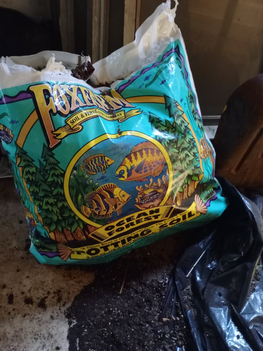 Stoner Panda Nation tweet media
