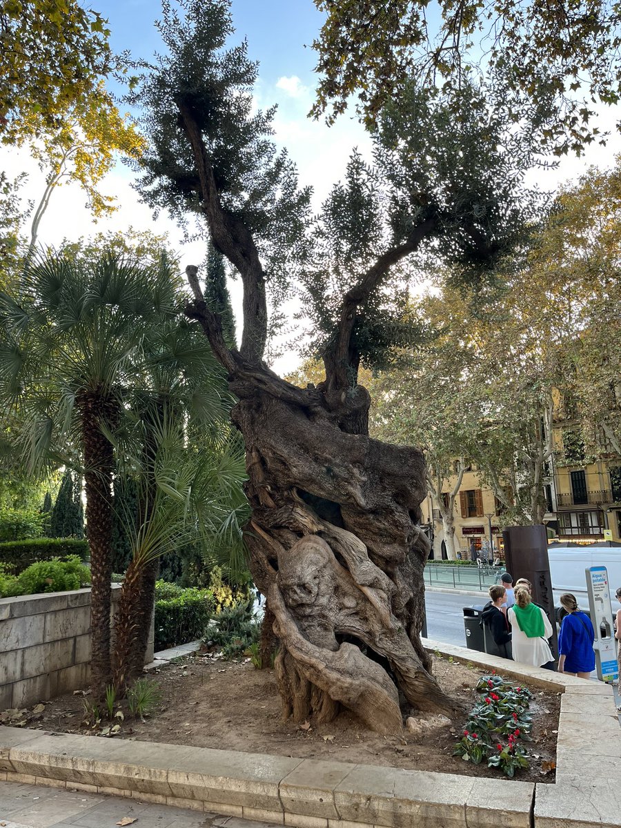 Dan Pender tweet media