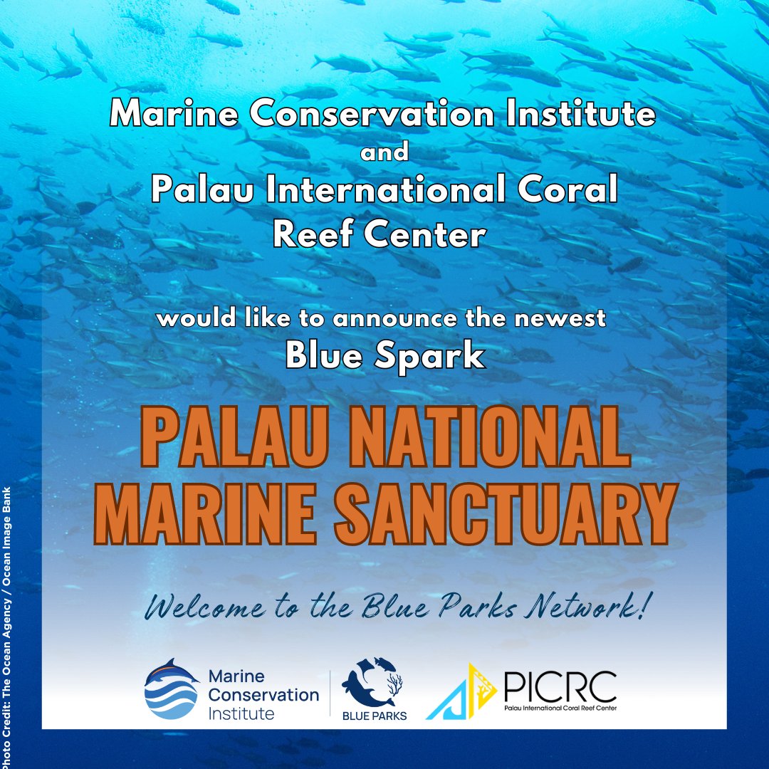 Happy Anniversary to the Palau National Marine Sanctuary (PNMS)! @picrcpalau and our #BlueParks team are thrilled to announce the PNMS as a Blue Spark, making progress toward achieving the #BlueParks standard for excellence in biodiversity conservation. tinyurl.com/Blue-Spark