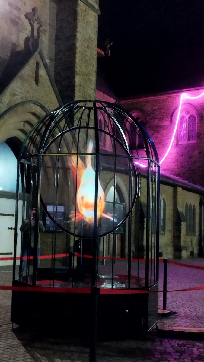 ShaunFarrelly's tweet photo. I think they're taking the P out of Blackpool 🤔
More from Lightpool and the Illuminations in Blackpool
#Blackpool #BlackpoolIlluminations #Lightpool #Lancashire https://t.co/Cddu9jpolE