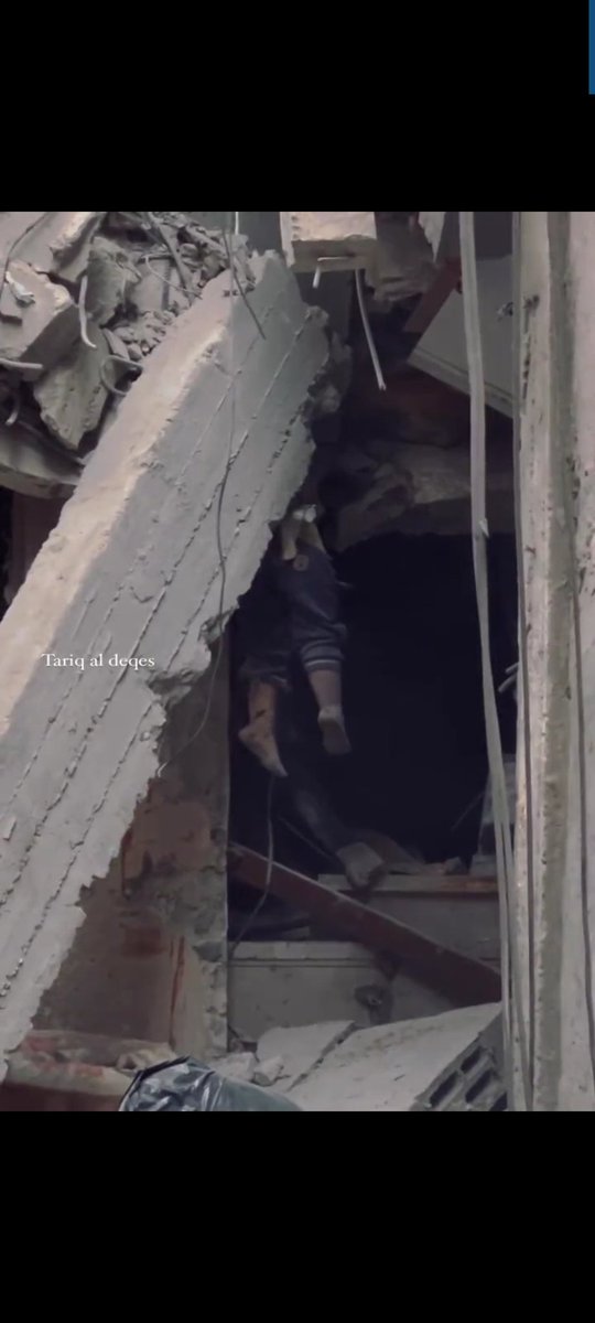 pappi_shaharu's tweet image. #starlinkforgaza @elonmusk