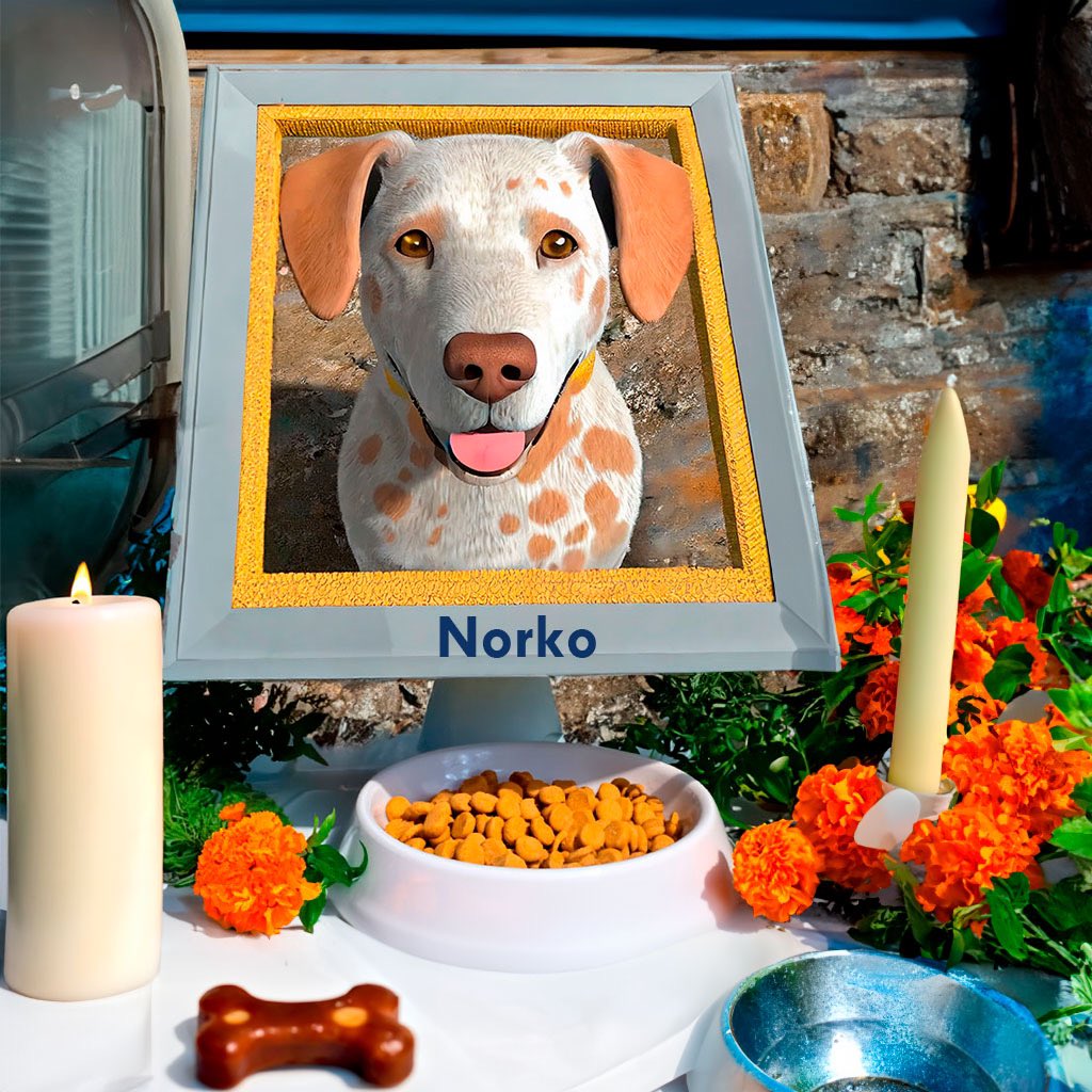 SENASICA's tweet photo. 🐾🩺 En reconocimiento a los héroes caninos que ya no están, este 27 de octubre recordemos con cariño a nuestros compañeros peludos. Si también vas a colocar una ofrenda a tu fiel amigo, compártela en los comentarios. #BienestarAnimal ✨🐶 https://t.co/xAwwTBKVcm