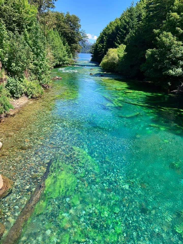 turisargentina's tweet photo. Patagonia por la Ruta 40. Lago Espejo, río Correntoso 💙🇦🇷🍃

Fotos de Lau Herrera https://t.co/03Wej37CG0