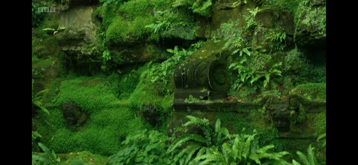 FMLdizzyAF's tweet image. Hever Castle is so lush and green  #GardenersWorld