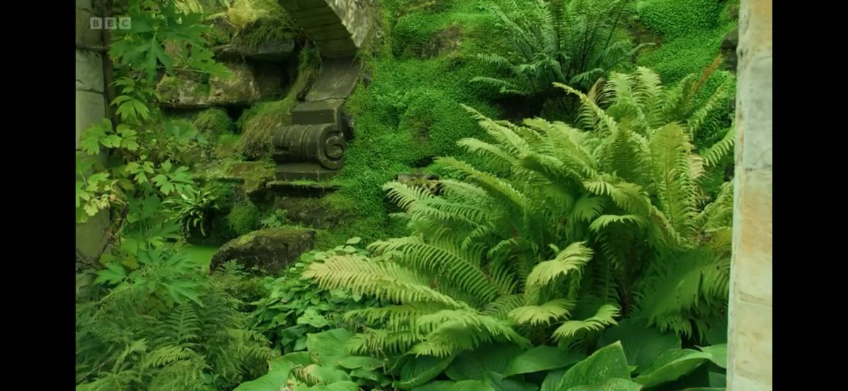 FMLdizzyAF's tweet image. Hever Castle is so lush and green  #GardenersWorld