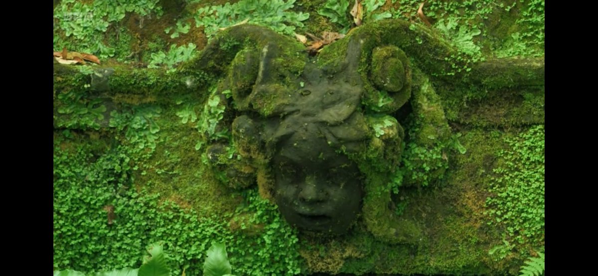 FMLdizzyAF's tweet image. Hever Castle is so lush and green  #GardenersWorld