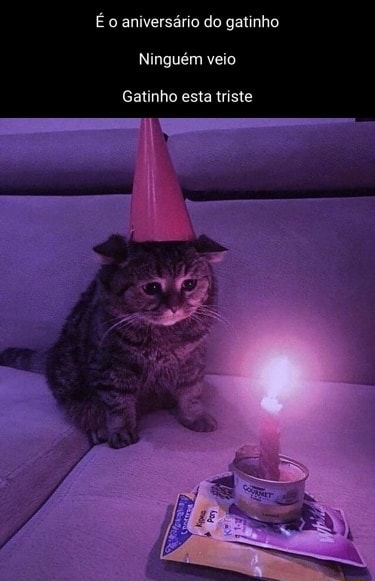 DownloaderChan1's tweet image. 