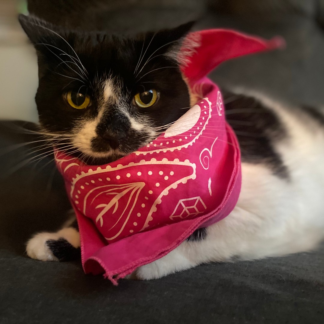 Seek Now tweet media