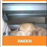 wildmultigaming's tweet photo. We won the Hungarian Nationals for the 3rd time and we are back-to-back champions! 🎉🎉🎉🎉
GG @STRiKE_R6 @zodiacR6_ @RaiDeNR6S @DogeFather_r6 @Delyii_ @w1oza!

Pics: Raiden summoning the inner demon of Strike.

#BeWiLD @CoolerMaster #DombaiSport #PlayPro @R6esports #MNEB https://t.co/yBaO6yVaiP