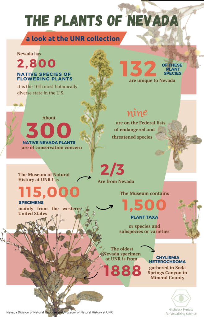 Happy #NevadaDay! Did you know that Nevada is the 10th most botanically diverse state in the US? Check out this infographic by <a href="/VanesadelaCruz_/">Vanesa de la Cruz Pavas</a> for more cool facts! #VisualizingScience #NevadaDay