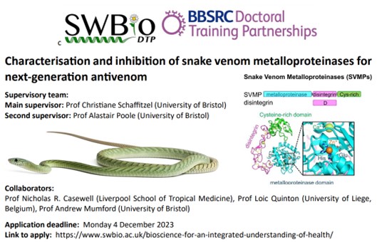 #PhD project Nr 2 (of 3)  now available in Berger Schaffitzel labs: #EngineeringBiology for next-generation #snakebite treatments. Contact Christiane Schaffitzel cb14941@bristol.ac.uk for details. Deadline December 4 !
@BristolUni @SWBio_DTP @ADDovenom