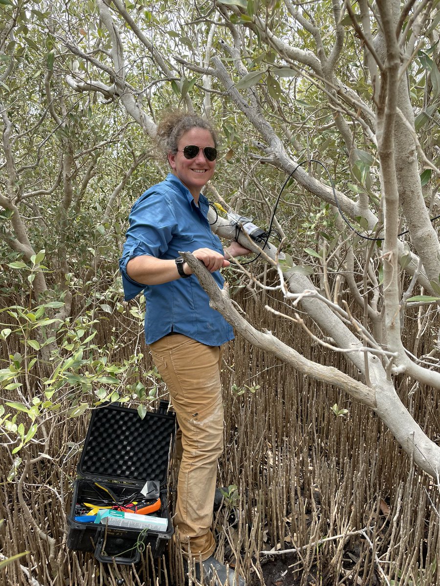 Ruth Reef 🌊 tweet media