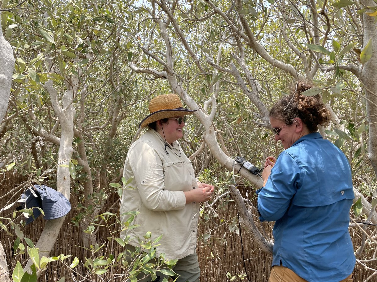 Ruth Reef 🌊 tweet media