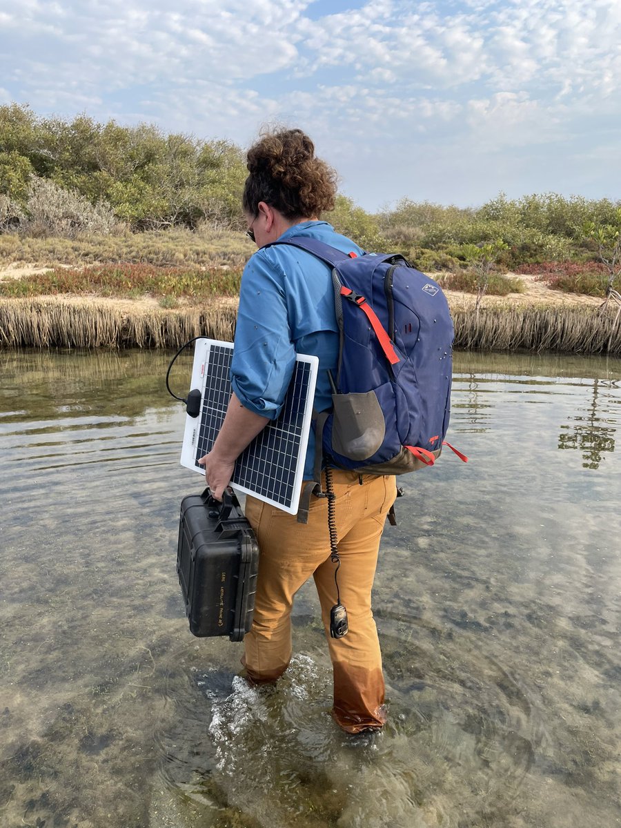 Ruth Reef 🌊 tweet media