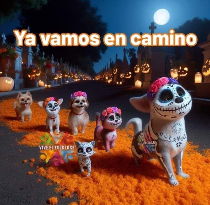 PatziCecy's tweet photo. Te espero Rex🐶😪🐾 hijito de mi vida😔
#DiaDeMuertosDeMascotas 🙏 https://t.co/8NLLnUOA7C