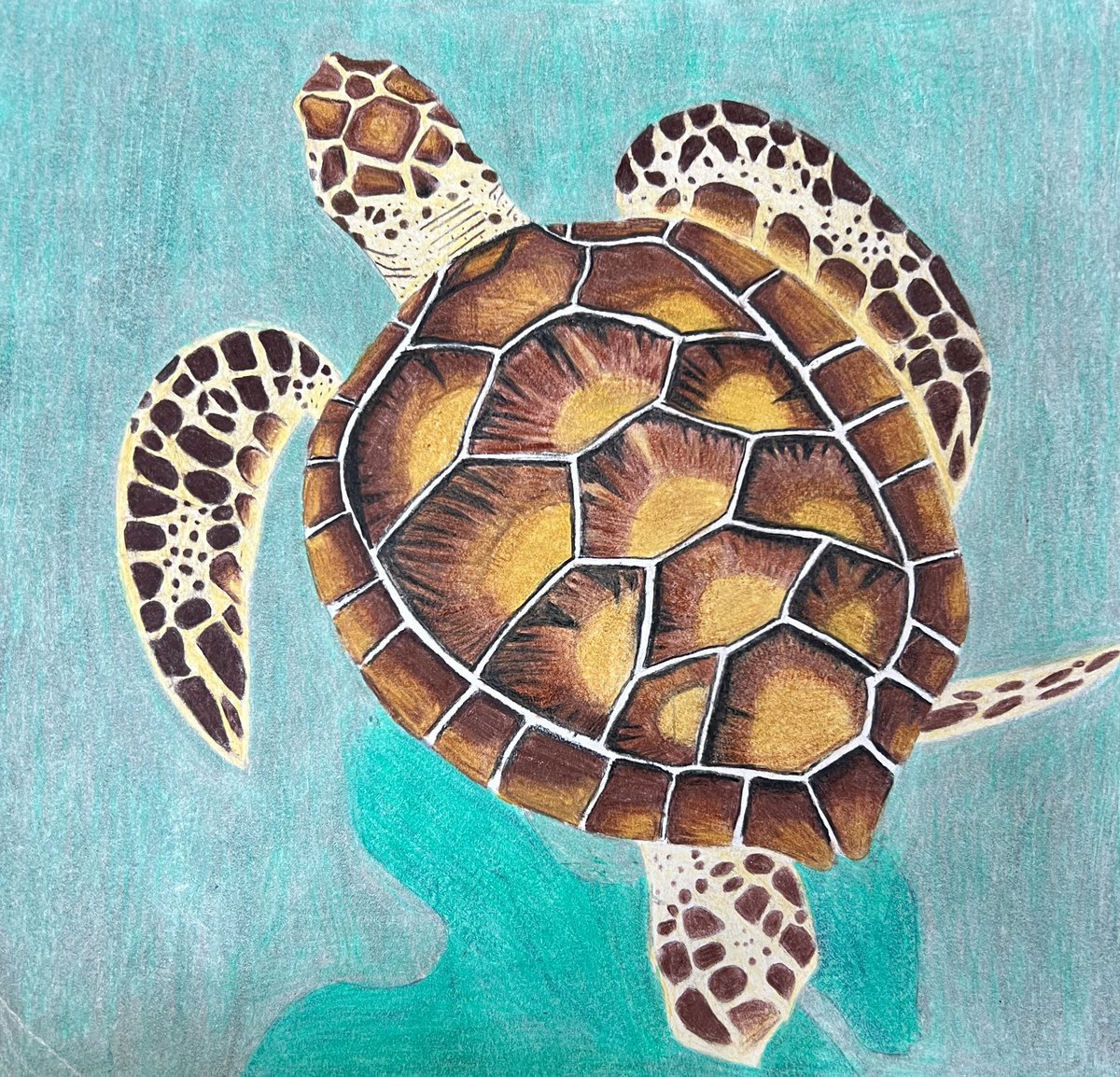 Chisago Lakes High School Art tweet media