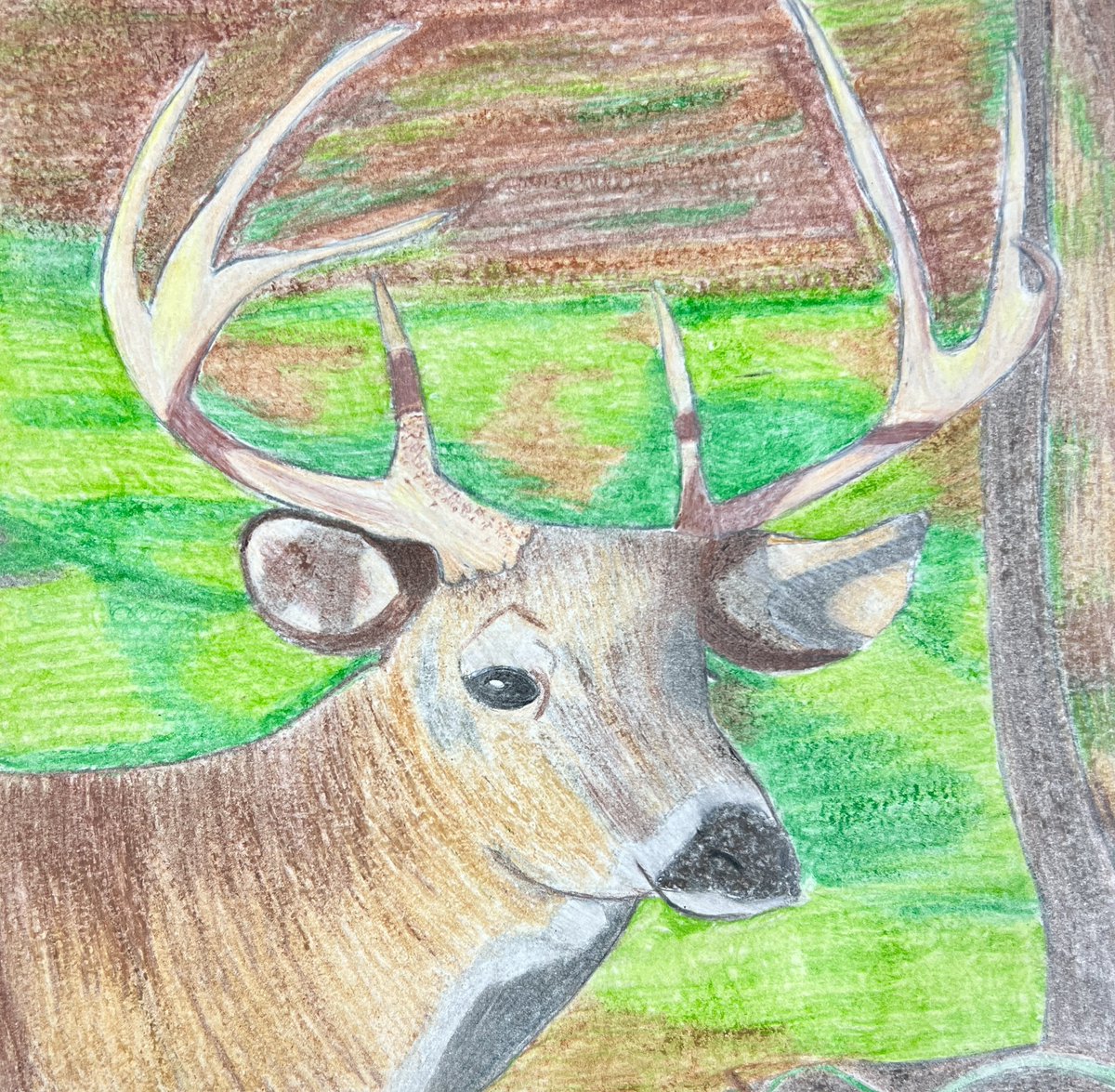 Chisago Lakes High School Art tweet media