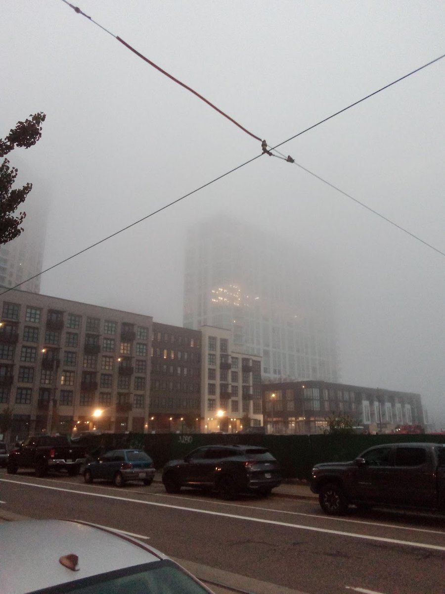 calvin +/- tweet media