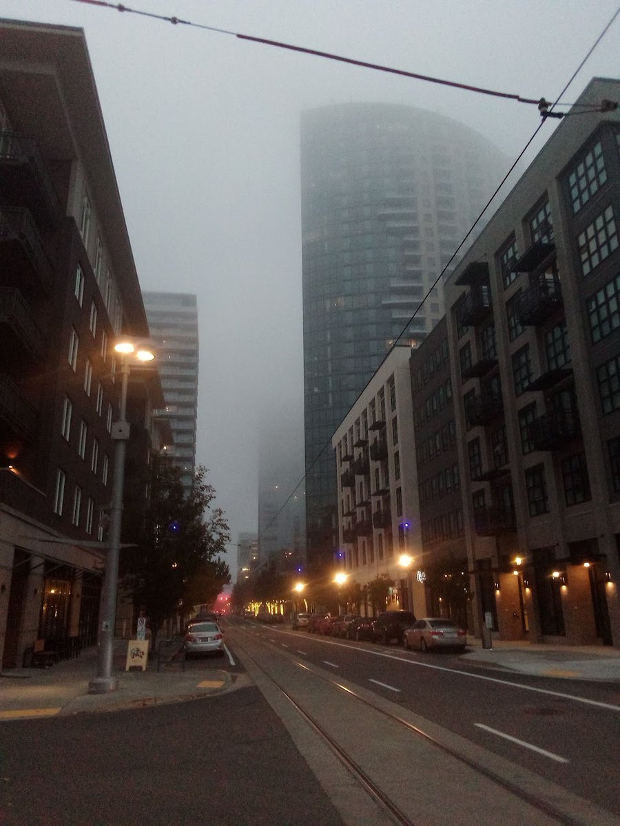 calvin +/- tweet media