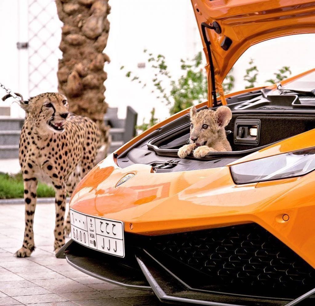 شاركونا أخر صورة صورتها اليوم أو محفوظة بجوالك :