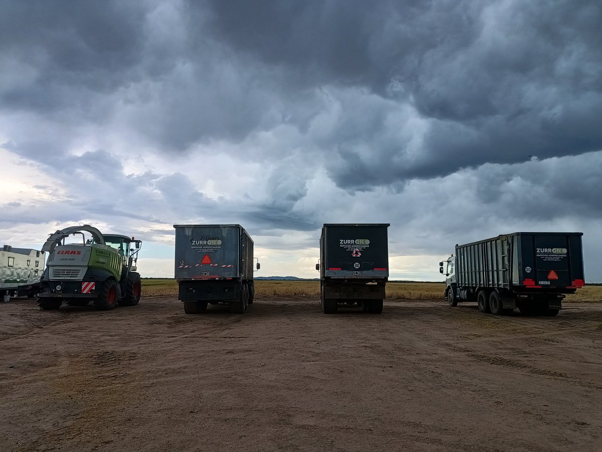 Alejandro Cadile tweet media