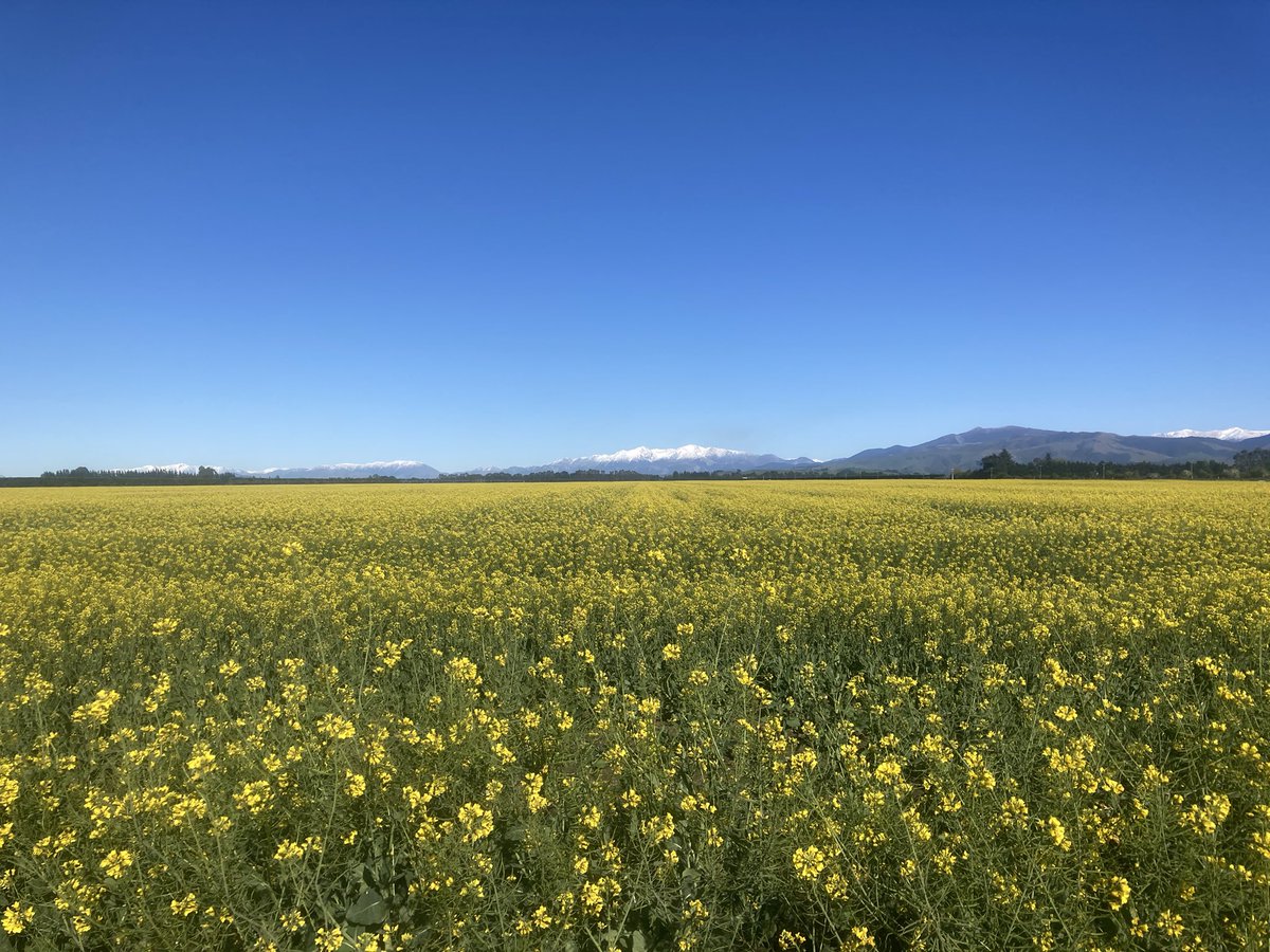 MurrayTaggart's tweet photo. Stunning spring morning https://t.co/Nxd5S8KOlk
