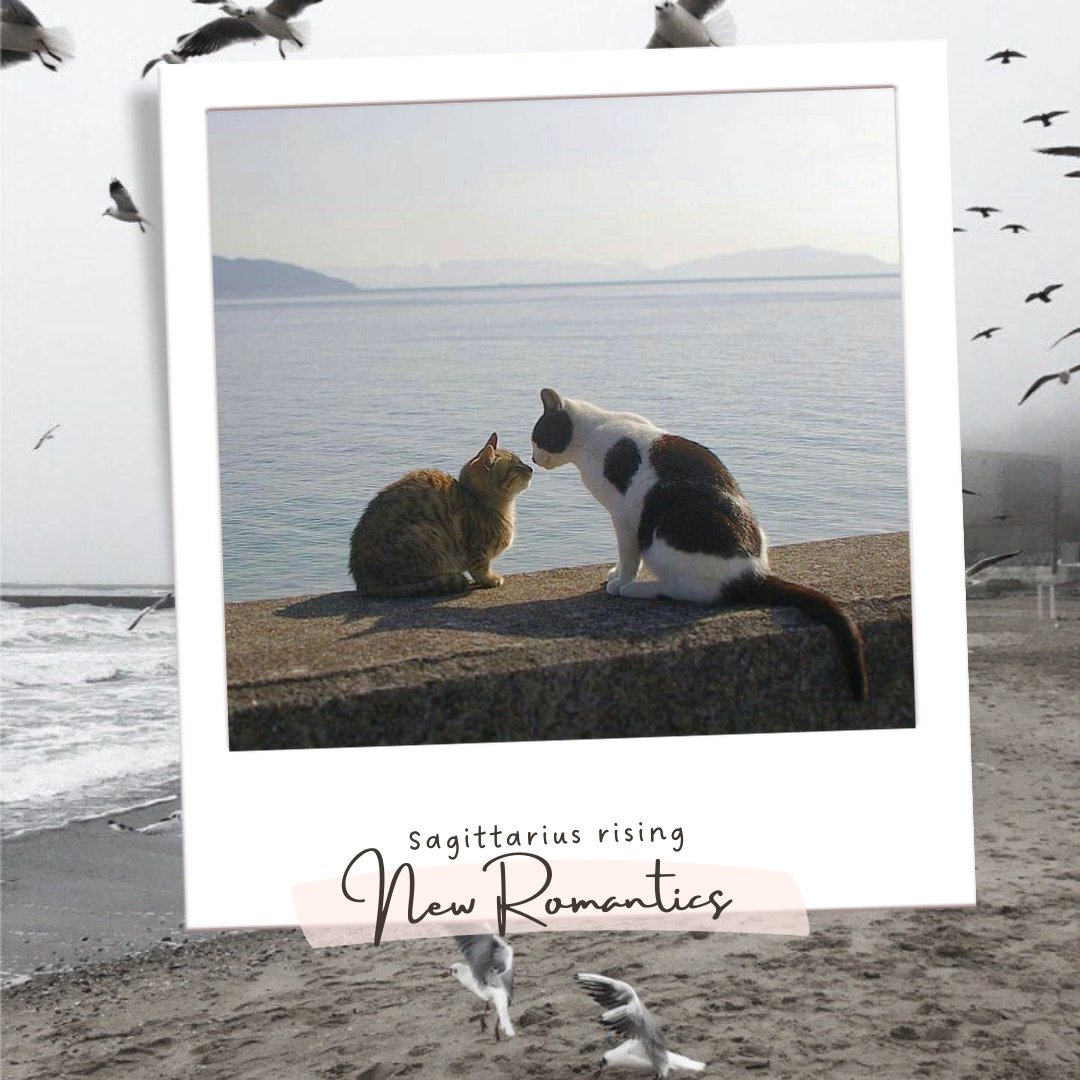 0asisupersonic's tweet photo. your astrological big 3 as #1989TaylorsVersion songs 🐚🌾🫧

mine! qt yours ₊˚⊹ https://t.co/Od7T1cJmRR