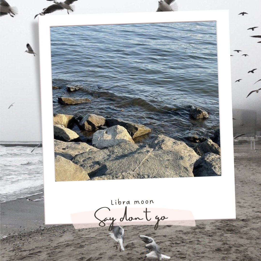 0asisupersonic's tweet photo. your astrological big 3 as #1989TaylorsVersion songs 🐚🌾🫧

mine! qt yours ₊˚⊹ https://t.co/Od7T1cJmRR