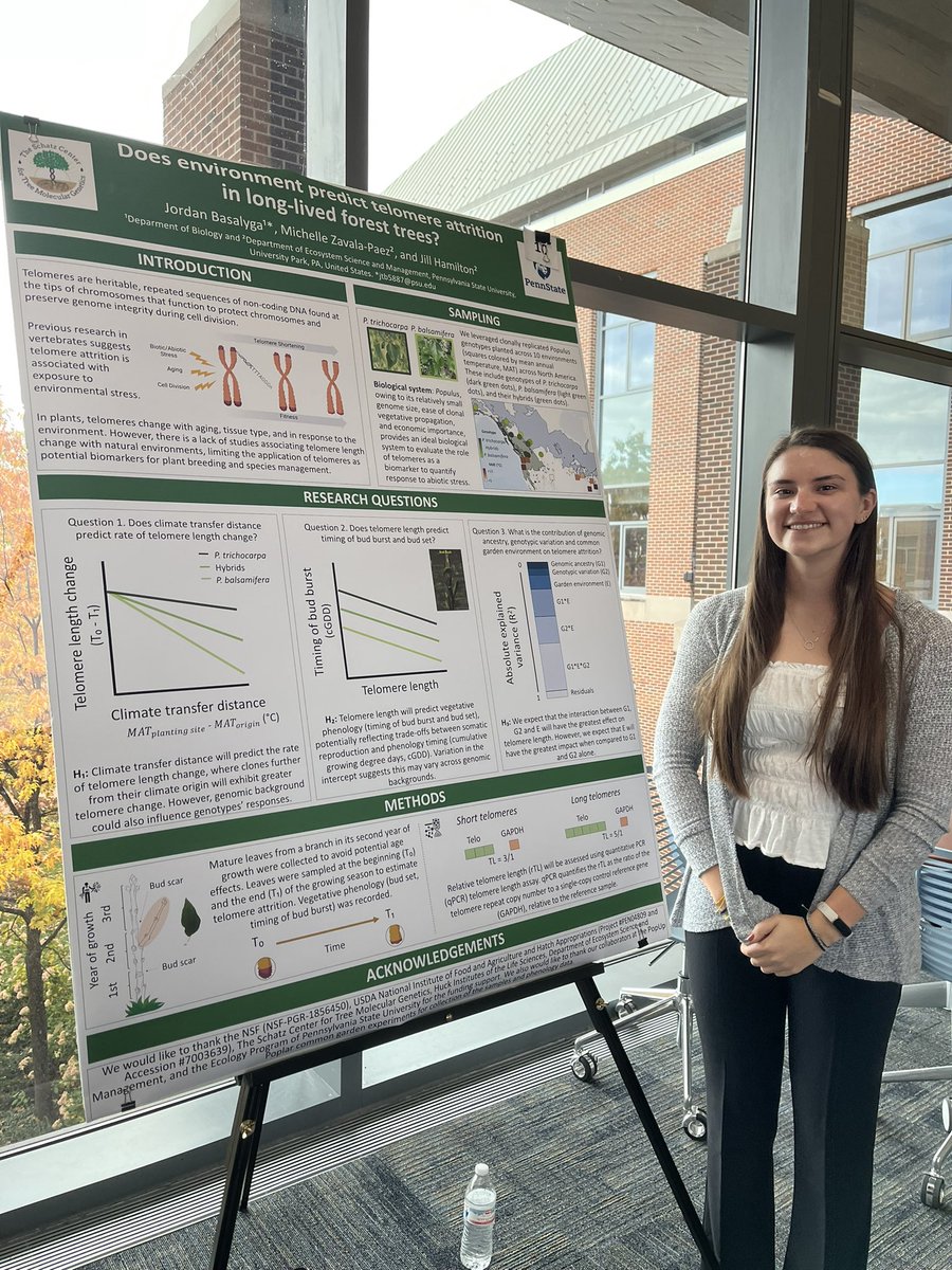 jilla_hamilton's tweet photo. Rising stars in forest genetics from the Schatz Center for Tree Molecular Genetics representing at the Biology Undergraduate Symposium today @PennStateBio @Michell01008276 @jordanbasalyga @LuciaAAnderson @Brianna_sutara #supportingundergraduateresearch #proudPI https://t.co/8dIqMKKdX5