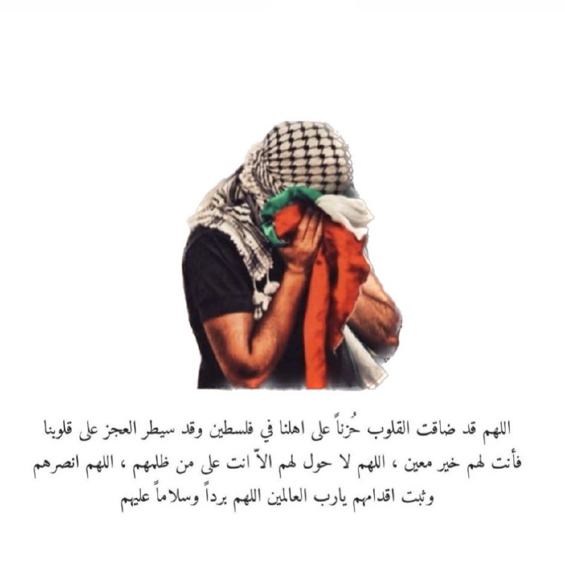 GhadeerAlshoub1's tweet photo. open satellite internet for #Gaza 
#Starlinkforgaza https://t.co/Q9bvSEzNXg