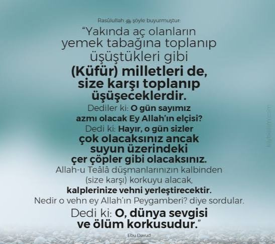 Bir kere inkâra düştün mü yavrum,
Kendini aşmaya yol bulamazsın.
Vehimler,şüpheler bozar ruhunu,
Seni kaldıracak el bulamazsın...

UYAN EY TÜRK UYAN ! 
UYUMAK NENE!
KALK ,DOĞRUL YERİNDEN,
YÜRÜ GEÇ ÖNE !