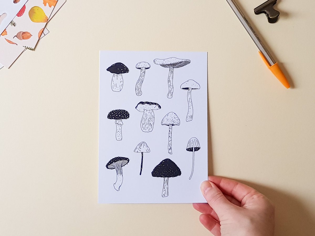 CathrynWorrell's tweet photo. Would you like a free art print? Every order from my shop until Sunday will have one of these little mushroom prints included. https://t.co/9GqTN2Ruzc #ArtistOnTwitter #shopsmalluk #artpr https://t.co/KhgpVjUDLG