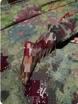 Maria3287527771's tweet photo. The Indonesian Military is Indeed Terrorists Againts Papuans People, #Genosidewestpapua #StopWarCrime #StopOligrchyIndonesia #StopGenocideInWestPapua #Stoptrainingkillers https://t.co/r8CvDnhMUJ