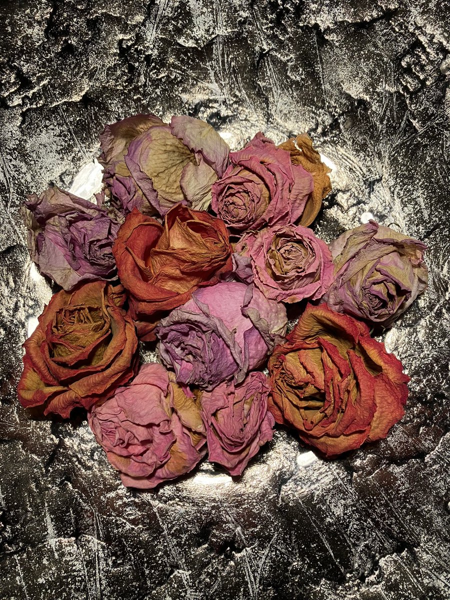 KW 43/23 Farben des Herbstes 
 #JedeWocheEinFoto