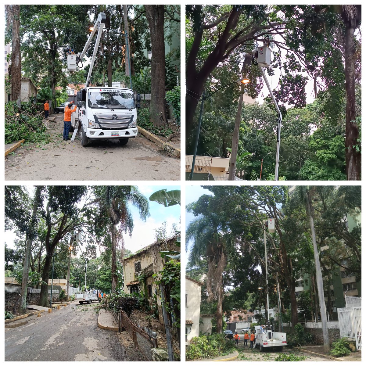 Algelide's tweet photo. Agradecido con @AlcaldiaDCcs  por la poda de árboles en la calle de nuestras residencias. Personal comprometido con su trabajo https://t.co/14Xs0UboP2