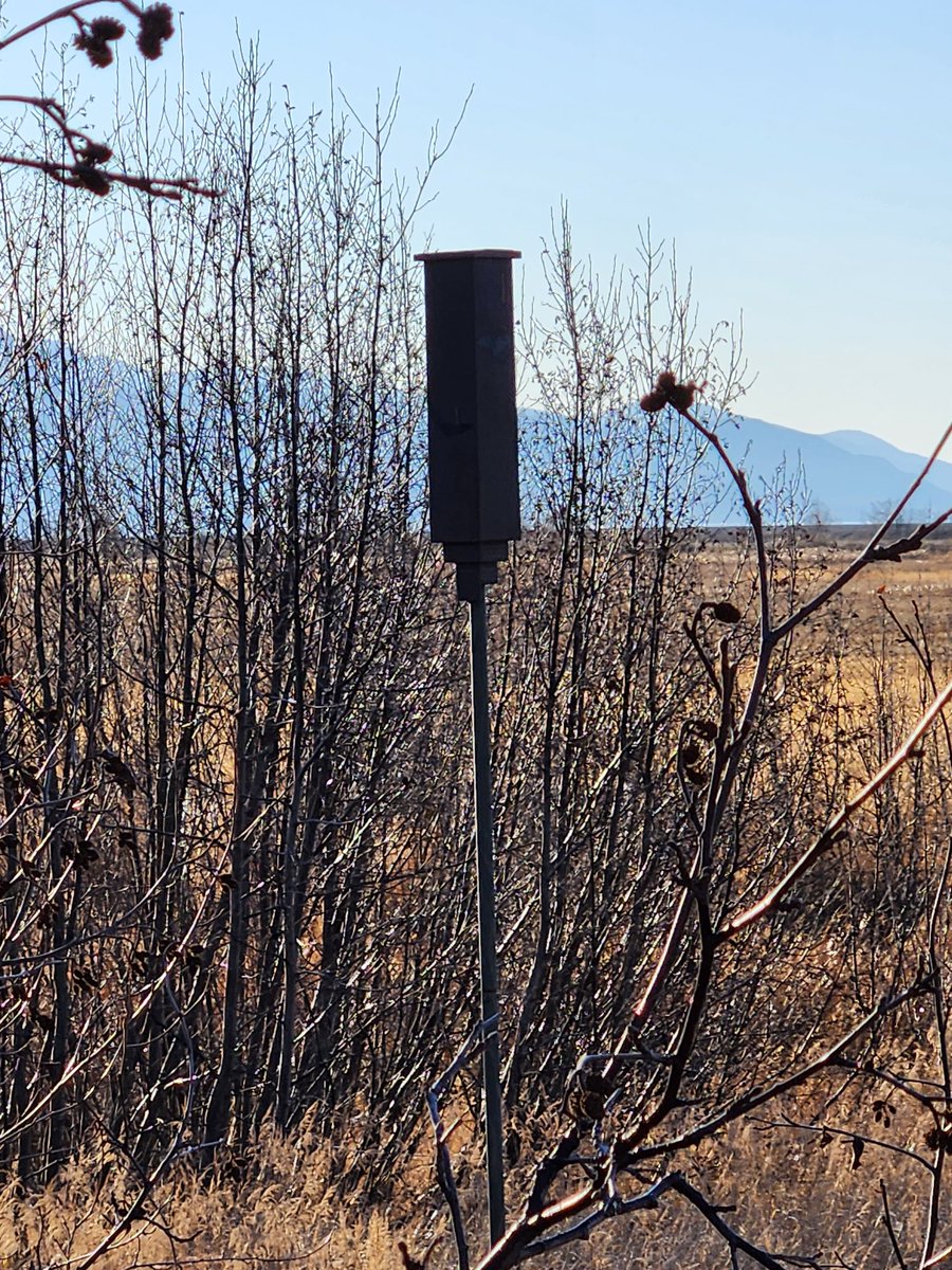 kamariek's tweet photo. @gomer2323 @paulsla1539372 Bat box off the East boardwalk at Potter's Marsh. https://t.co/KFIslLdrHa