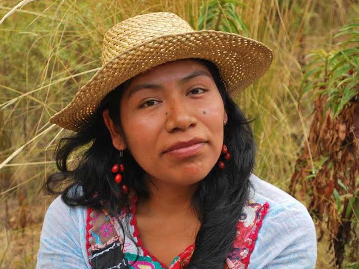 Hace dos años que está desaparecida la defensora indígena mixteca Irma Galindo Barrios, quien participa en la defensa comunitaria contra la tala ilegal del bosque en el municipio de San Esteban Atatlahuca, Oaxaca. Estaba desplazada a raíz de amenazas y ataques que había sufrido.