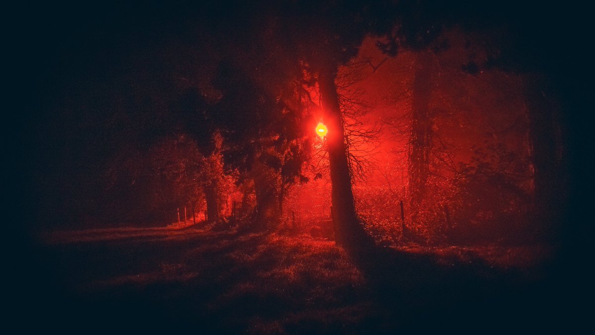 Jamie_P_Harris's tweet photo. some dark ass spooky photos i took back in 2021

#sonyalpha #photography #NightPhotography #Halloween #7artisans https://t.co/BP5vXsRwMR
