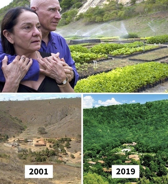 In the early 1990s, Brazilian photojournalist Sebastião Ribeiro Salgado was stationed in Rwanda to cover the genocide, an experience that left him traumatized. In 1994, upon returning to his home in Minas Gerais, Brazil, Sebastião hoped to find solace in the lush green forest