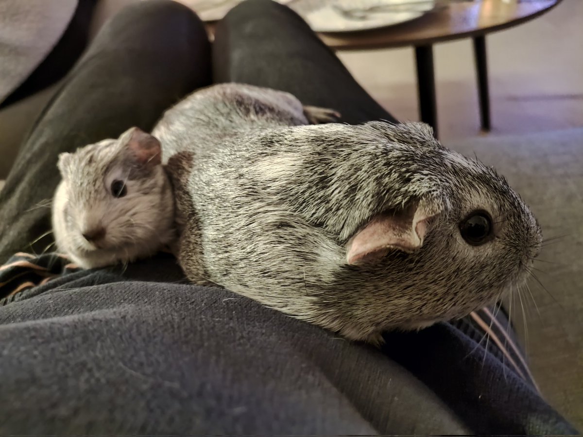 Smol potato and mother potato ❤️