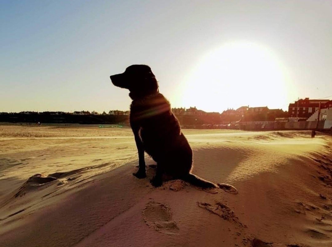 Chris Mousse 🇪🇺 tweet media